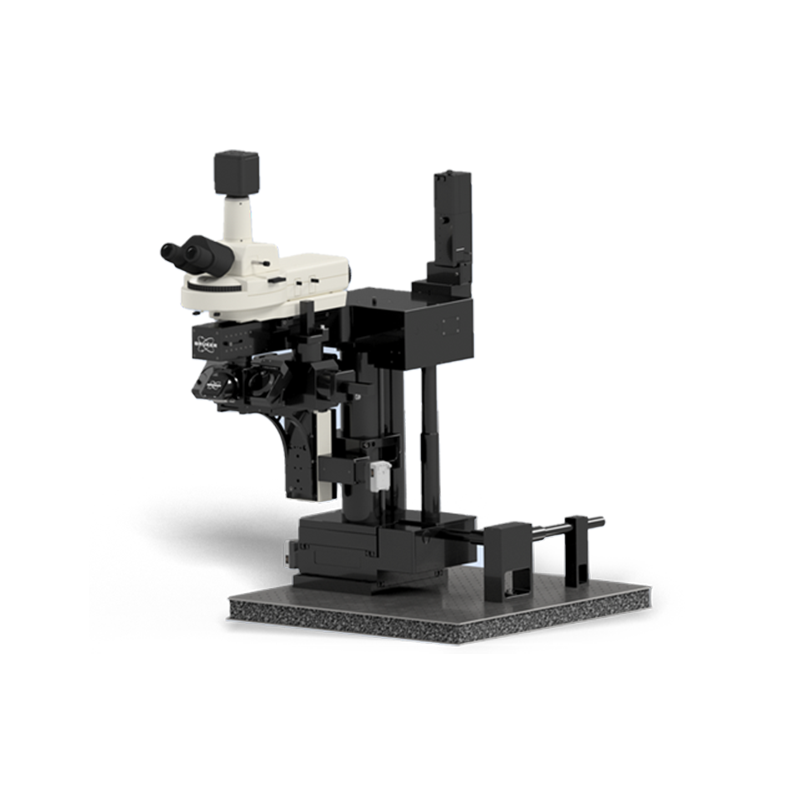 Ultima多光子顯微鏡系統(tǒng)